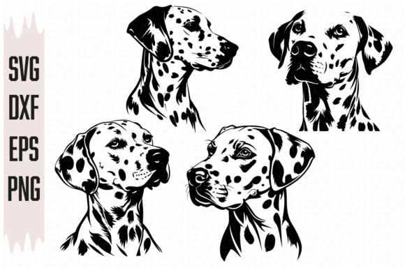 Dalmatian Dog, Dog